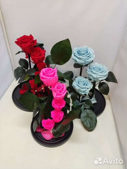 Новогодний подарок / Роза в колбе