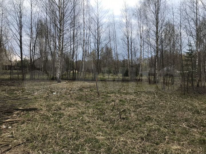 Участок 24 сот. (СНТ, ДНП)