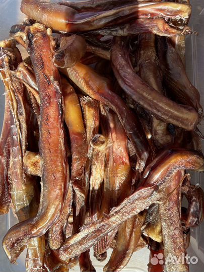 Лакомство для собак: Бычий корень сушеный