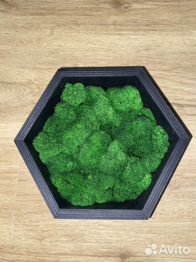 Панно из стабилизированного мха