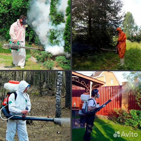 Обработка от клещей, ос, комаров, мух, шершней