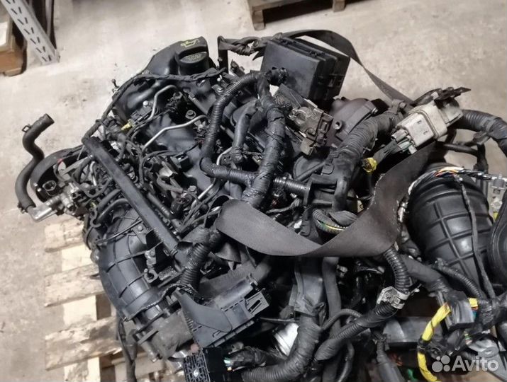 Двигатель D4HB Kia Sorento 2.2 дизель