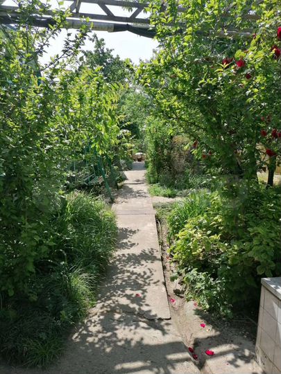 Комната 18 м² в 6-к., 2/2 эт.