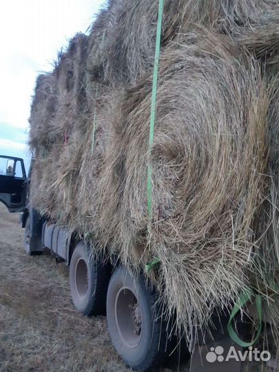 Сено с доставкой от 22шт