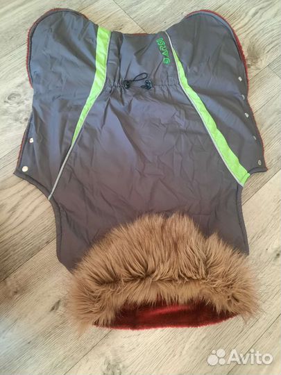 Комбинезон, шлейка trixie, ошейник для собаки