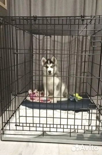 Прочные клетки для собак №4