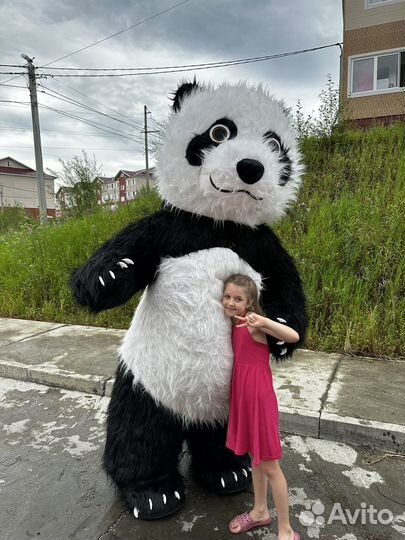 Аниматор панда кукла