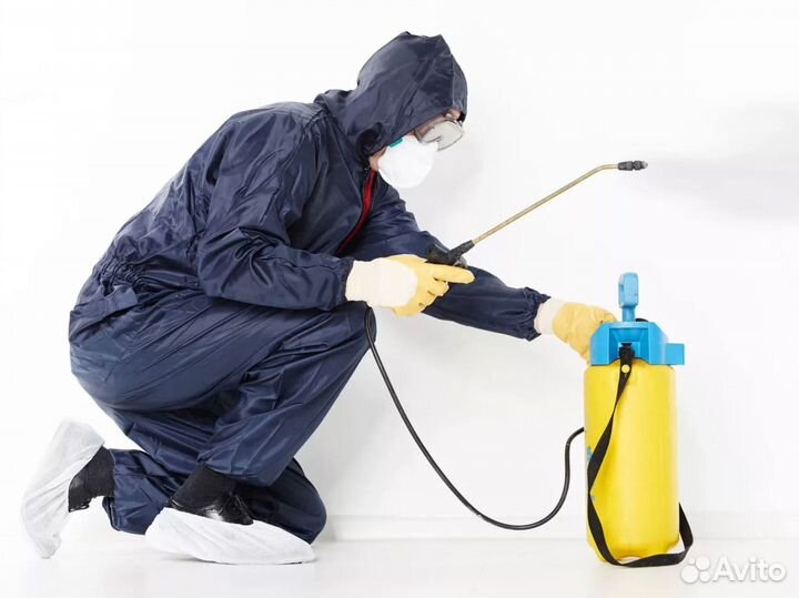 Травить тараканов, клопов, комаров, крыс мышей