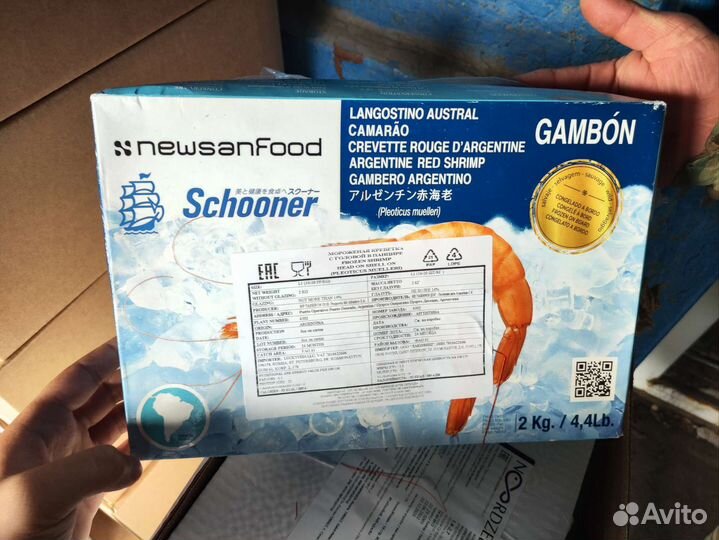 Лонгустины L1