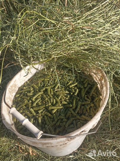 Гранулы из люцерны