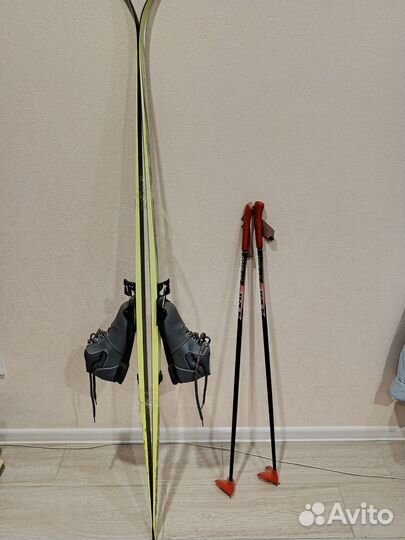 Беговые лыжи