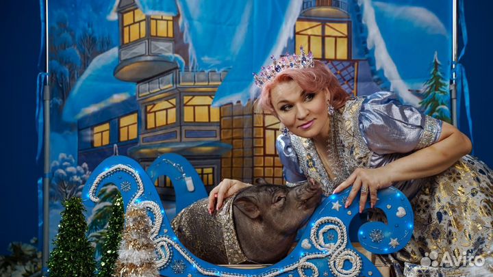 Шоу минипигов VIP (минипиги / мини-пиг / мини пиг)