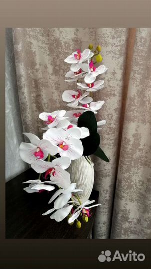 Интерьерные букеты.Орхидея фенолепсис