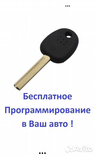 Ключ Hyundai (Хендай) с чипом