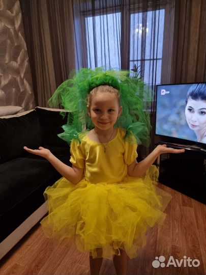 Костюм репки