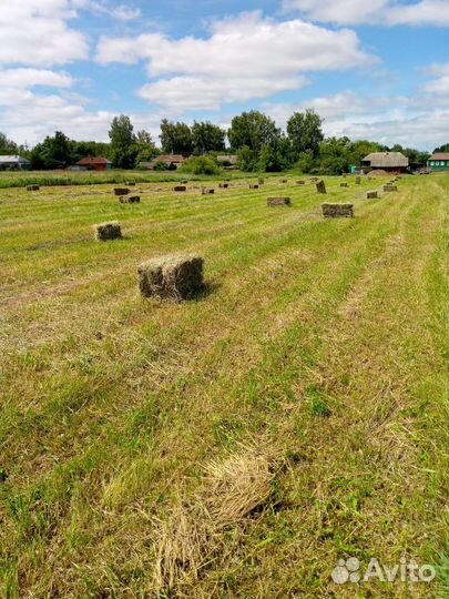 Сено в тюках