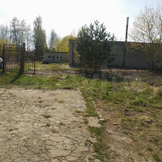 Участок 65 сот. (ИЖС)