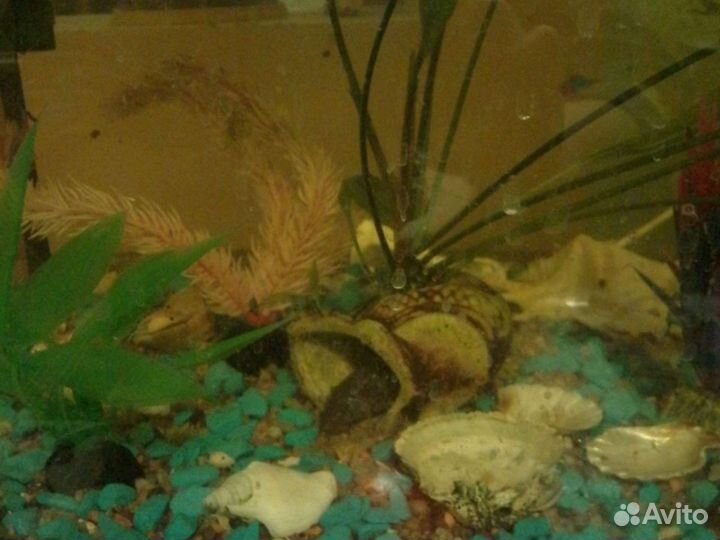 Аквариум