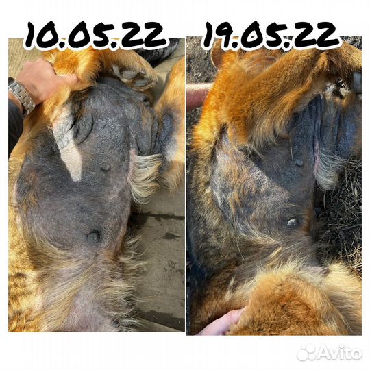 Энергетический массаж Access bars/ Аксесс барс