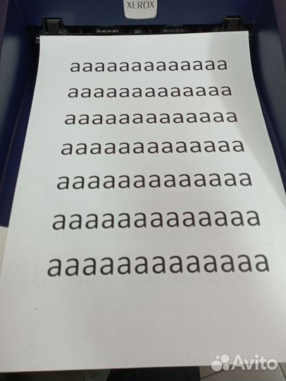 Принтер лазерный xerox 3250