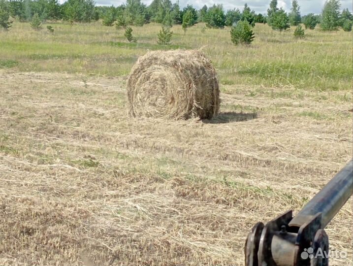 Продам сено в рулонах
