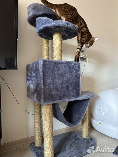 Кошачий домик с когтеточкой