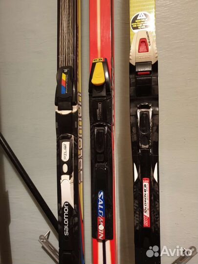 Беговые лыжи Salomon Madshus Dynamic Atomic Fische