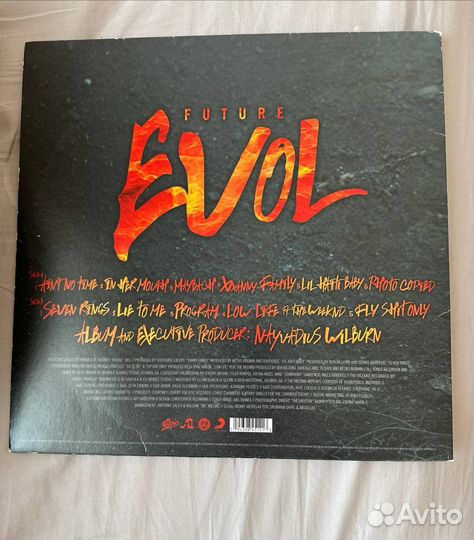 Виниловая пластинка Future Evol