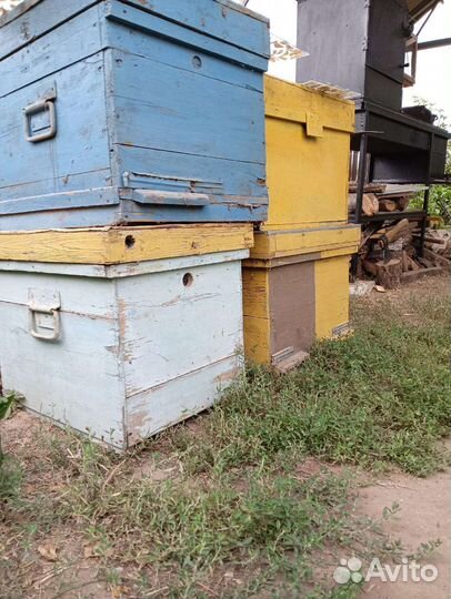 Улей для пчел