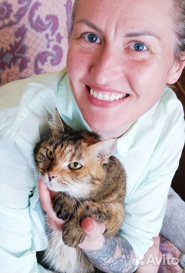 Присмотрю за вашим животным