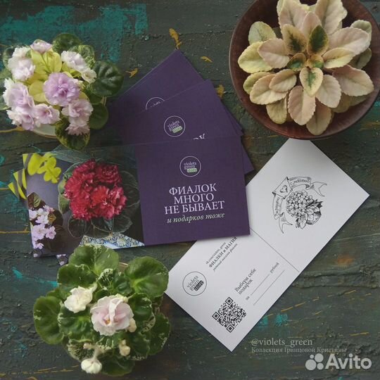 Подарочный сертификат на покупку сортовых фиалок