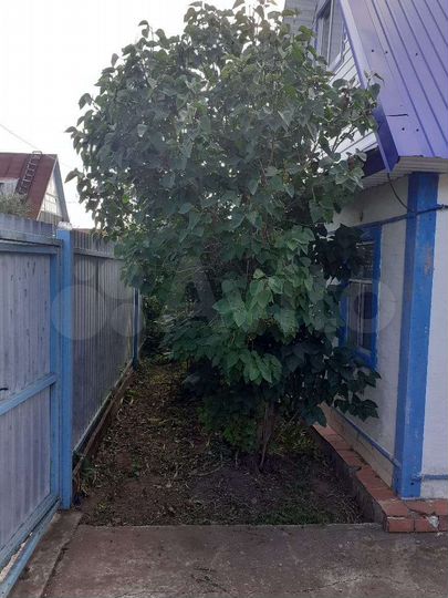 Дача 20 м² на участке 5 сот.