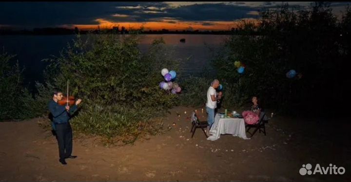 Скрипач Музыкант Живая музыка скрипка