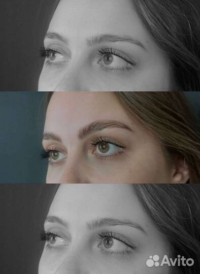 Мастер Бровист