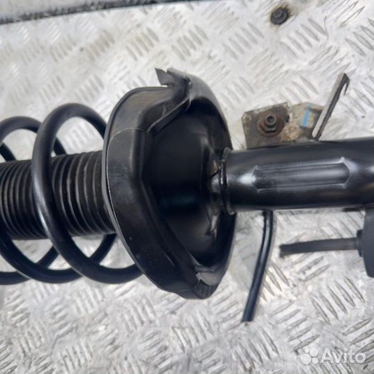 Амортизатор подвески передний правый Ford Focus BM