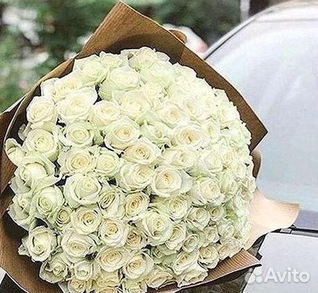 Высокие розы Гигантские розы Доставка цветов