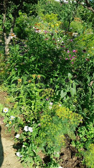 Дом 12,7 м² на участке 6,9 сот.