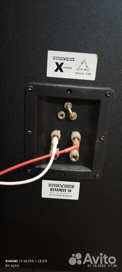 Dynavoice dynamite 10