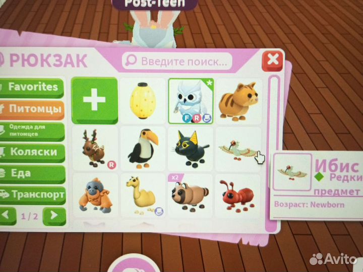 Петы в адопт