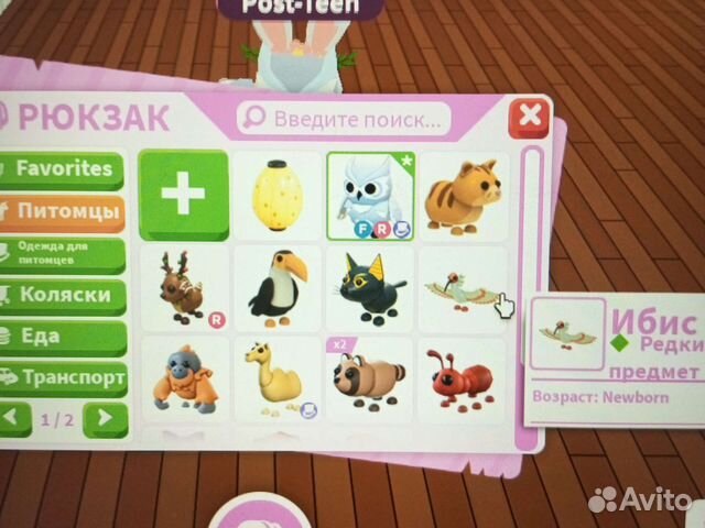 Петы в адопт