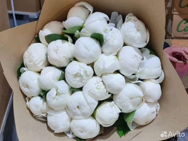 Пионы доставка Москва цветы