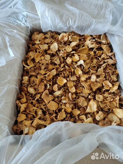 Сушеные грибы лисички