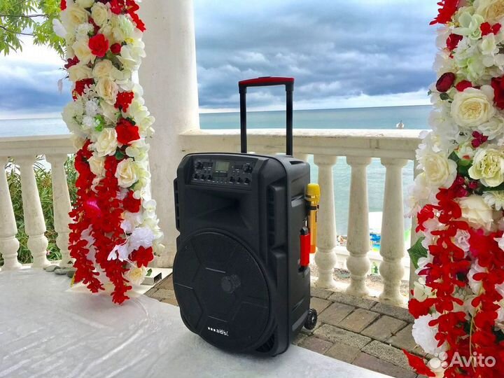 Беспроводная блютуз колонка ADS15 аренда