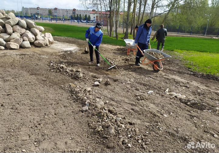 Разнорабочие на копку. Рабочие. Уборка участка