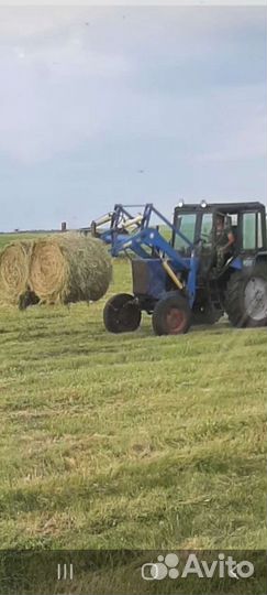 Сено в рулонах 2023