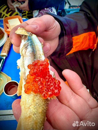 Рыбалка на Камчатке