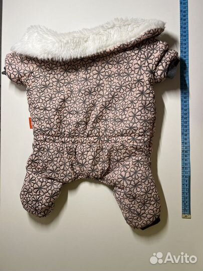 Одежда для собаки джек рассел