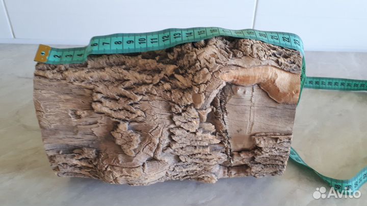 Поленище из сухого Самшита