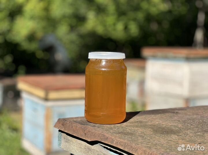 Мед оптом