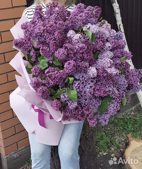 Букет сирени